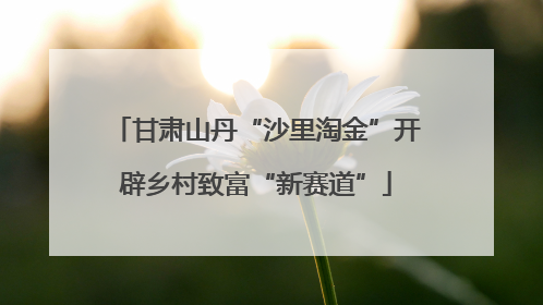 甘肃山丹“沙里淘金”开辟乡村致富“新赛道”
