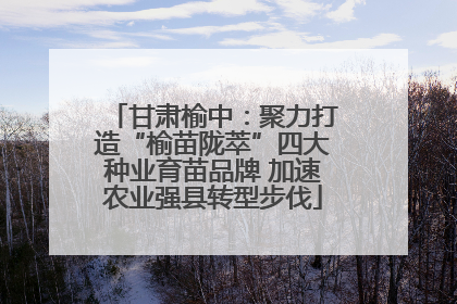 甘肃榆中：聚力打造“榆苗陇萃”四大种业育苗品牌 加速农业强县转型步伐