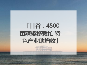 甘谷：4500亩辣椒移栽忙 特色产业助增收