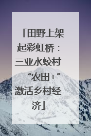 田野上架起彩虹桥：三亚水蛟村“农田+”激活乡村经济