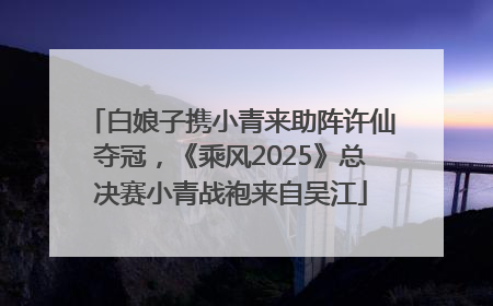 白娘子携小青来助阵许仙夺冠，《乘风2025》总决赛小青战袍来自吴江