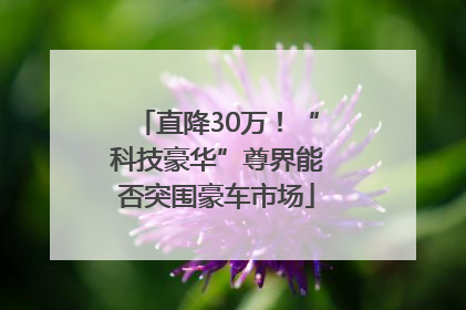 直降30万！“科技豪华”尊界能否突围豪车市场