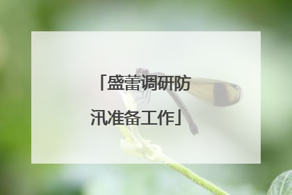 盛蕾调研防汛准备工作