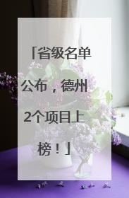 省级名单公布，德州2个项目上榜！