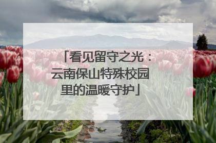 看见留守之光：云南保山特殊校园里的温暖守护