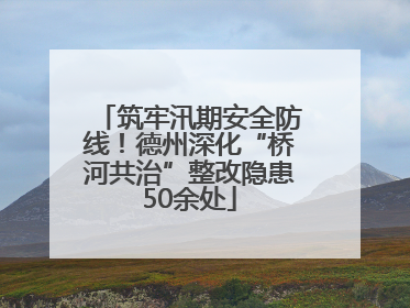 筑牢汛期安全防线！德州深化“桥河共治”整改隐患50余处