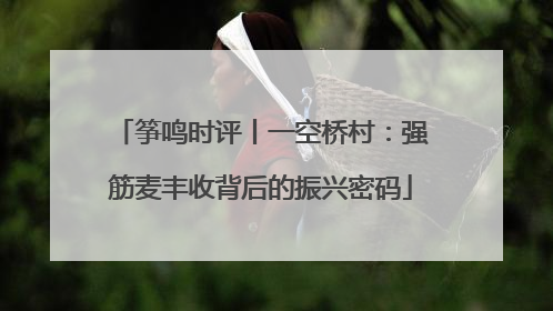 筝鸣时评丨一空桥村：强筋麦丰收背后的振兴密码