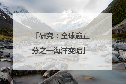 研究：全球逾五分之一海洋变暗