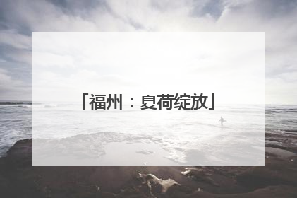 福州：夏荷绽放