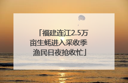 福建连江2.5万亩生蚝进入采收季 渔民日夜抢收忙