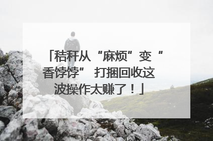 秸秆从“麻烦”变“香饽饽” 打捆回收这波操作太赚了！