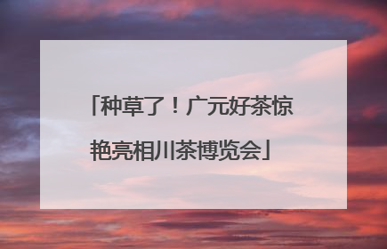 种草了！广元好茶惊艳亮相川茶博览会
