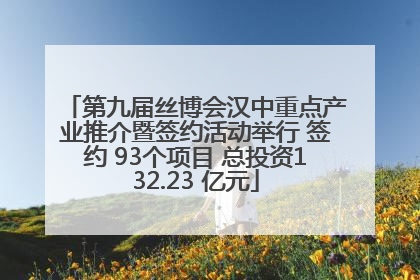第九届丝博会汉中重点产业推介暨签约活动举行 签约 93个项目 总投资132.23 亿元