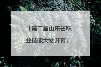 第二届山东省职业技能大赛开幕