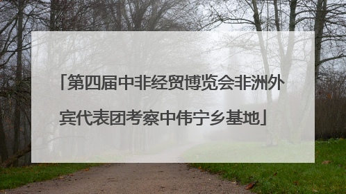 第四届中非经贸博览会非洲外宾代表团考察中伟宁乡基地