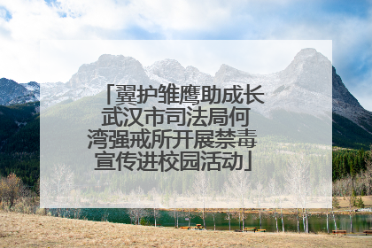 翼护雏鹰助成长 武汉市司法局何湾强戒所开展禁毒宣传进校园活动