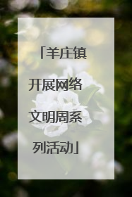 羊庄镇开展网络文明周系列活动