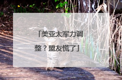 美亚太军力调整？盟友慌了