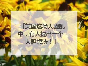 美国这场大骚乱中，有人提出一个大胆想法！