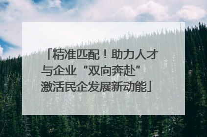 精准匹配！助力人才与企业“双向奔赴” 激活民企发展新动能