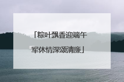 粽叶飘香迎端午 军休情深颂清廉