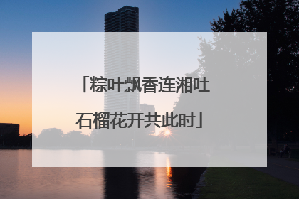 粽叶飘香连湘吐 石榴花开共此时