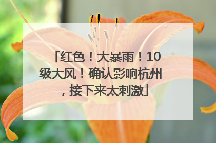 红色！大暴雨！10级大风！确认影响杭州，接下来太刺激