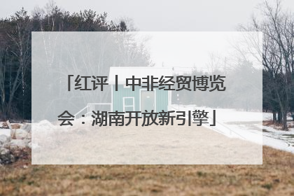 红评丨中非经贸博览会：湖南开放新引擎