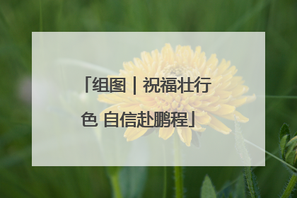 组图｜祝福壮行色 自信赴鹏程