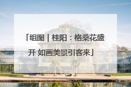 组图｜桂阳：格桑花盛开 如画美景引客来