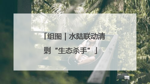 组图｜水陆联动清剿“生态杀手”