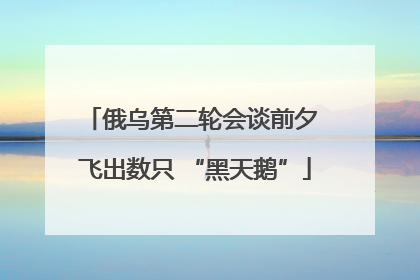 俄乌第二轮会谈前夕 飞出数只 “黑天鹅”