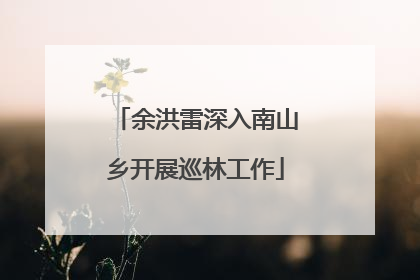 余洪雷深入南山乡开展巡林工作