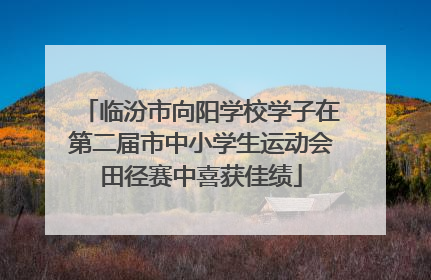临汾市向阳学校学子在第二届市中小学生运动会田径赛中喜获佳绩