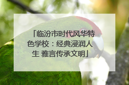 临汾市时代风华特色学校：经典浸润人生 雅言传承文明
