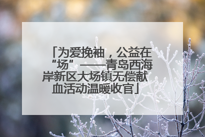为爱挽袖，公益在“场”——青岛西海岸新区大场镇无偿献血活动温暖收官
