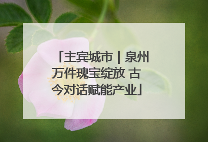 主宾城市｜泉州万件瑰宝绽放 古今对话赋能产业