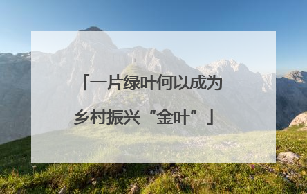 一片绿叶何以成为乡村振兴“金叶”