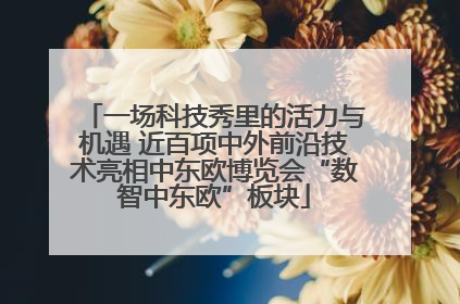 一场科技秀里的活力与机遇 近百项中外前沿技术亮相中东欧博览会“数智中东欧”板块