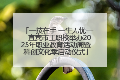 一技在手 一生无忧——宜宾市工职校举办2025年职业教育活动周暨科创文化季启动仪式