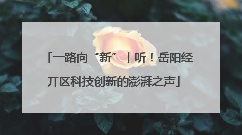 一路向“新”丨听！岳阳经开区科技创新的澎湃之声