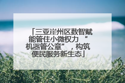 三亚崖州区数智赋能管住小微权力 “机器管公章”，构筑便民服务新生态