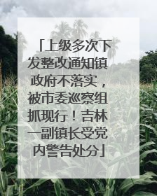上级多次下发整改通知镇政府不落实，被市委巡察组抓现行！吉林一副镇长受党内警告处分