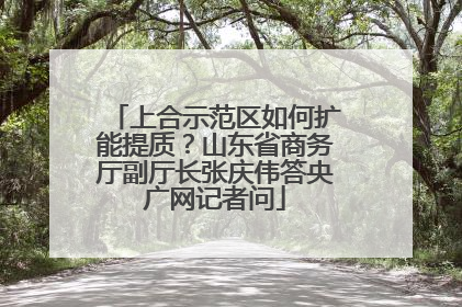 上合示范区如何扩能提质？山东省商务厅副厅长张庆伟答央广网记者问