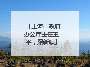 上海市政府办公厅主任王平，履新职