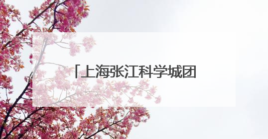 上海张江科学城团工委成立，将服务40余万名青年人