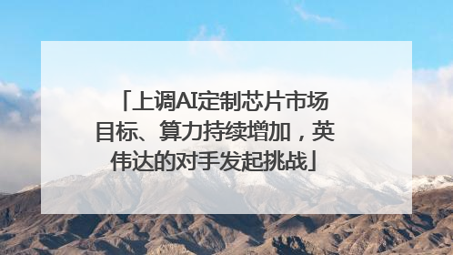 上调AI定制芯片市场目标、算力持续增加，英伟达的对手发起挑战