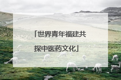 世界青年福建共探中医药文化