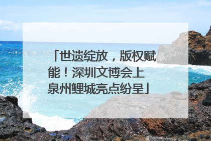 世遗绽放，版权赋能！深圳文博会上 泉州鲤城亮点纷呈