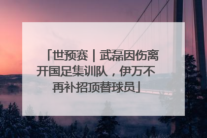世预赛｜武磊因伤离开国足集训队，伊万不再补招顶替球员